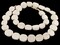 The Bead Chest White Bone Beads - Full Strand of Fair Trade African Beads (Circular, White)